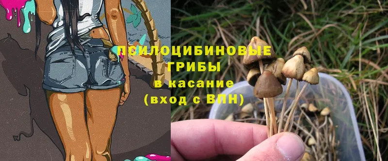 наркота  Инта  Псилоцибиновые грибы MAGIC MUSHROOMS 